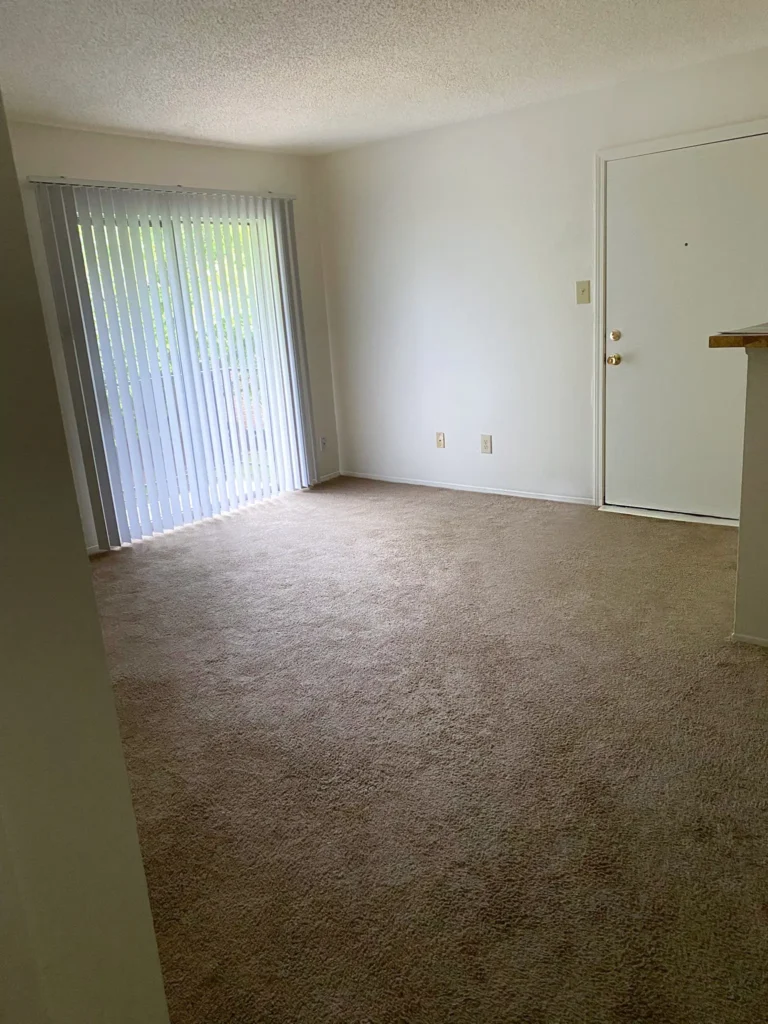 WhatsApp Image 2025-05-29 at 18.19.36_2c05ed59