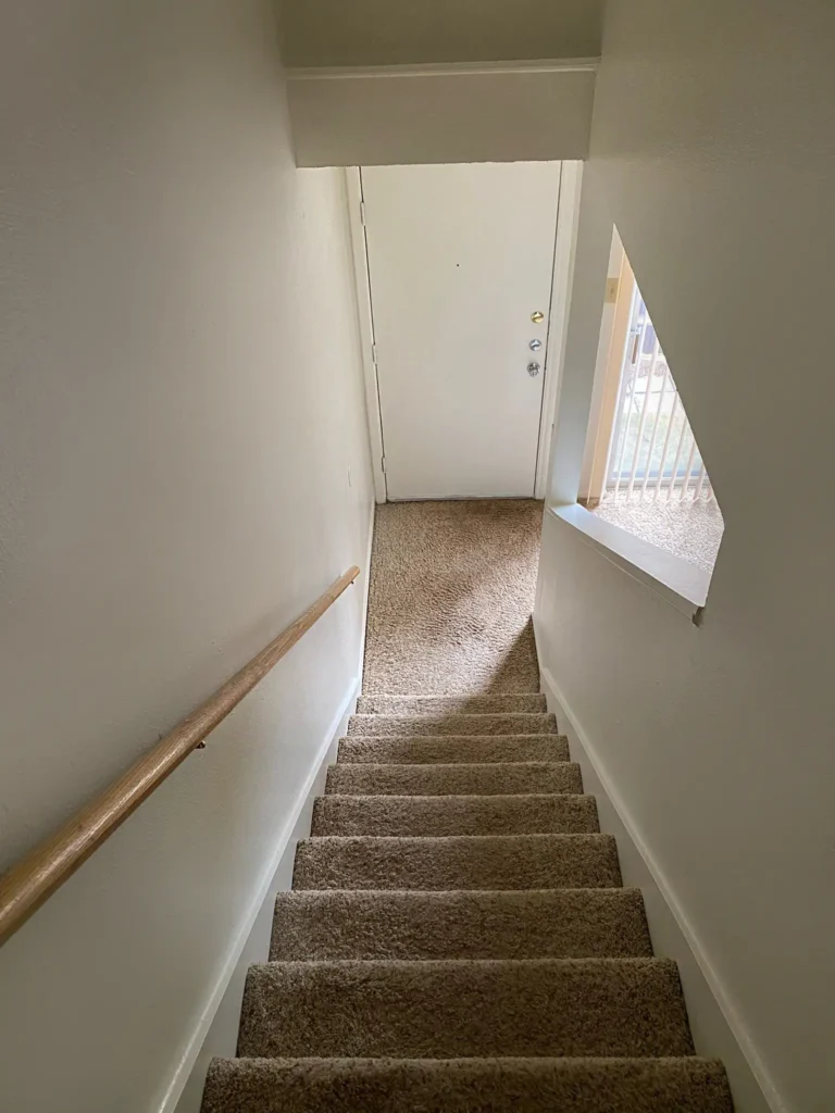 WhatsApp Image 2025-05-29 at 18.19.37_29ef6c74